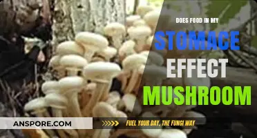 Stomach Contents: Friend or Foe to Mushrooms?