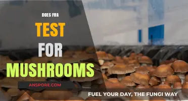 Mushroom Mystery: FRA Testing for Hallucinogens