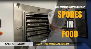Freezing Bacteria: Does It Effectively Eliminate Spores in Food?