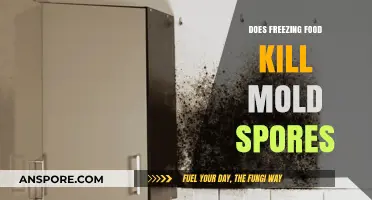 Freezing Food: Does It Effectively Kill Mold Spores?