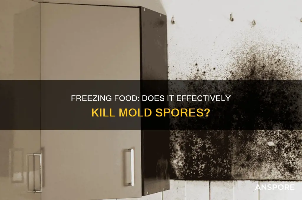 does freezing food kill mold spores