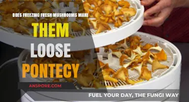 Freezing Fresh Mushrooms: Does It Affect Their Potency?