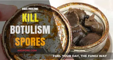 Freezing and Botulism: Does Cold Temperatures Kill Spores Effectively?