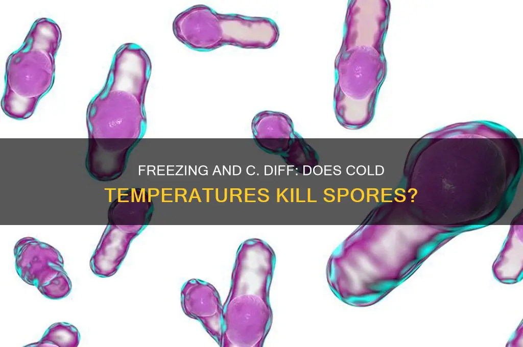does freezing kill c diff spores
