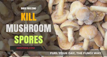 Freezing Mushrooms: Does It Kill the Spores?