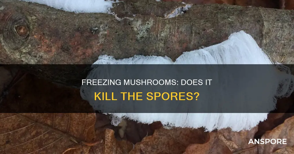 does freezing kill mushroom spores