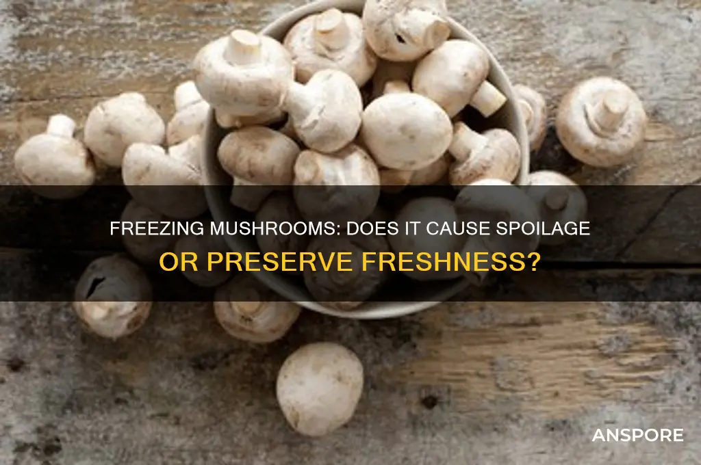 does freezing mushrooms make them get spoys