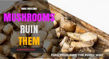 Freezing Mushrooms: Does It Affect Their Quality?