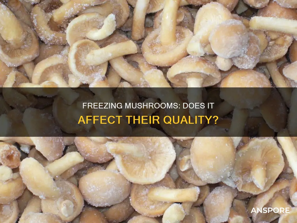 does freezing mushrooms ruin them