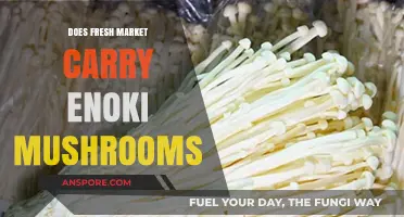 Fresh Market's Enoki Mushroom Supply: What You Need to Know