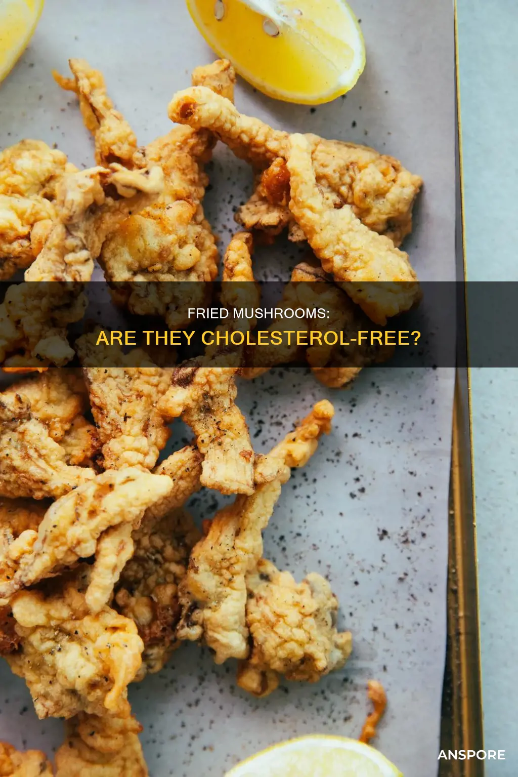 does fried mushrooms have cholesterol