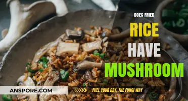 Fried Rice and Mushrooms: A Tasty Combination