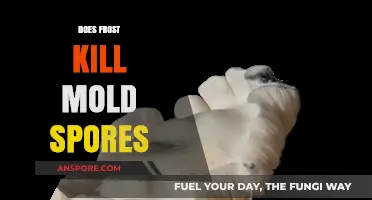 Frost's Impact on Mold Spores: Can Cold Temperatures Kill Them?