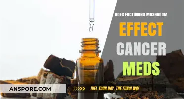 Magic Mushrooms: Cancer Medication Interactions?