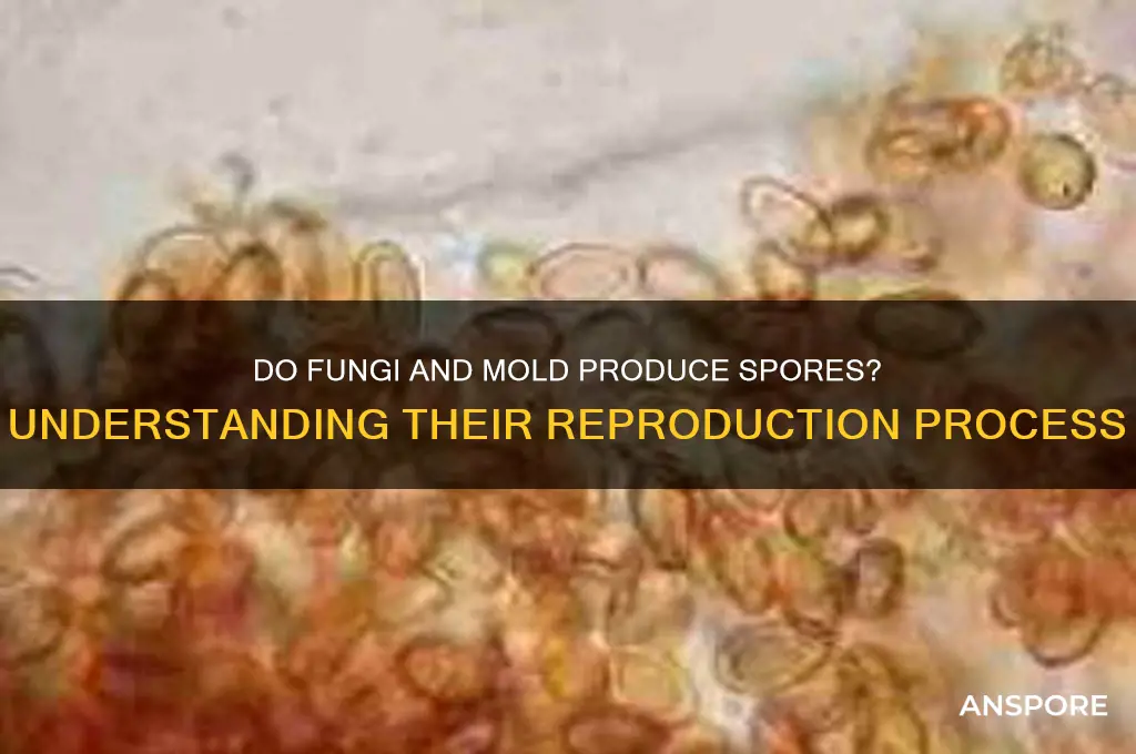 does fungi and mold produce spores
