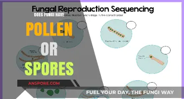 Fungi Reproduction: Understanding the Role of Spores, Not Pollen