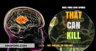 Deadly Fungi: Uncovering the Lethal Spores That Pose a Threat