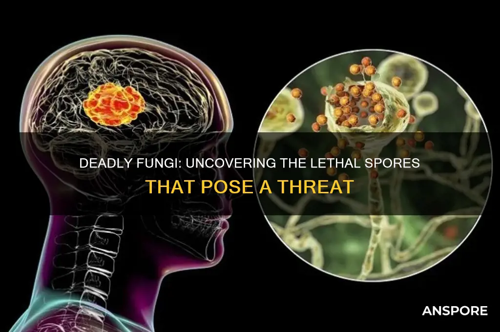 does fungi have spores that can kill