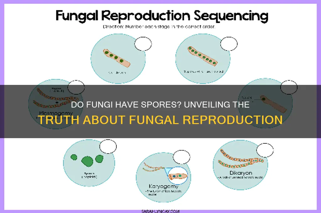 does fungi have spores
