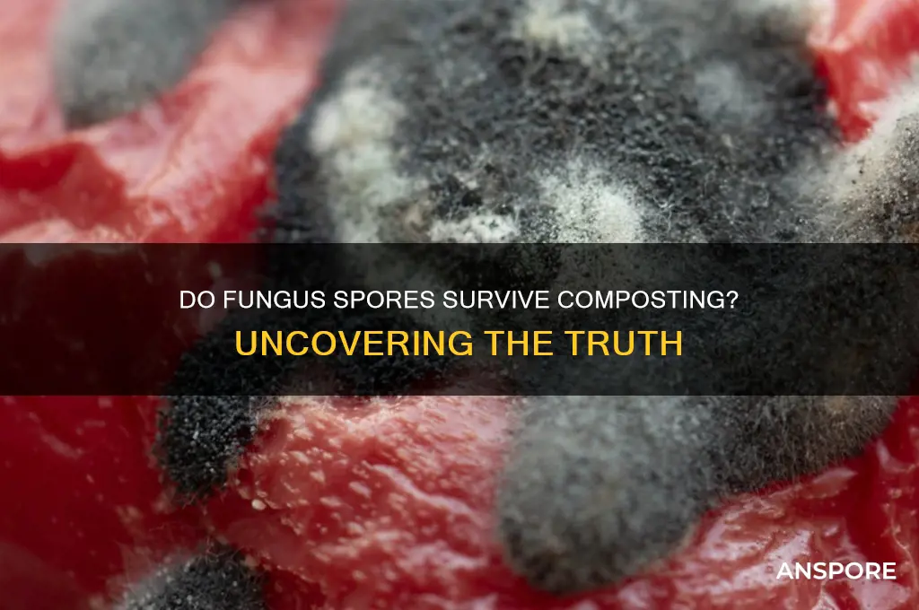 does fungus spores die when composed