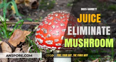 Garrett Juice: A Natural Solution to Eliminate Mushrooms?