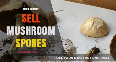 Gaspipe's Mushroom Spores: A Comprehensive Guide