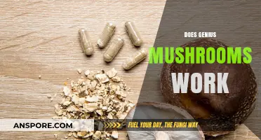 Genius Mushrooms: Do They Really Work?