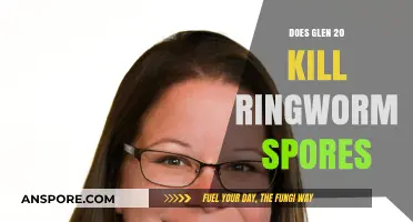 Can Glen 20 Effectively Eliminate Ringworm Spores? Find Out Here