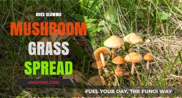 Glowing Mushroom Grass: Will It Spread?