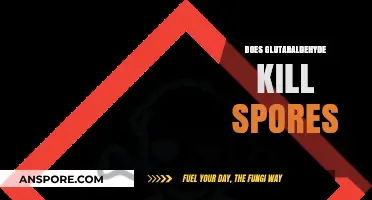 Glutaraldehyde's Effectiveness: Can It Eliminate Spores Effectively?