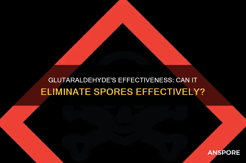 does glutaraldehyde kill spores