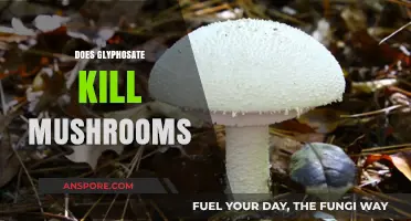 How Glyphosate Affects Mushrooms: A Guide