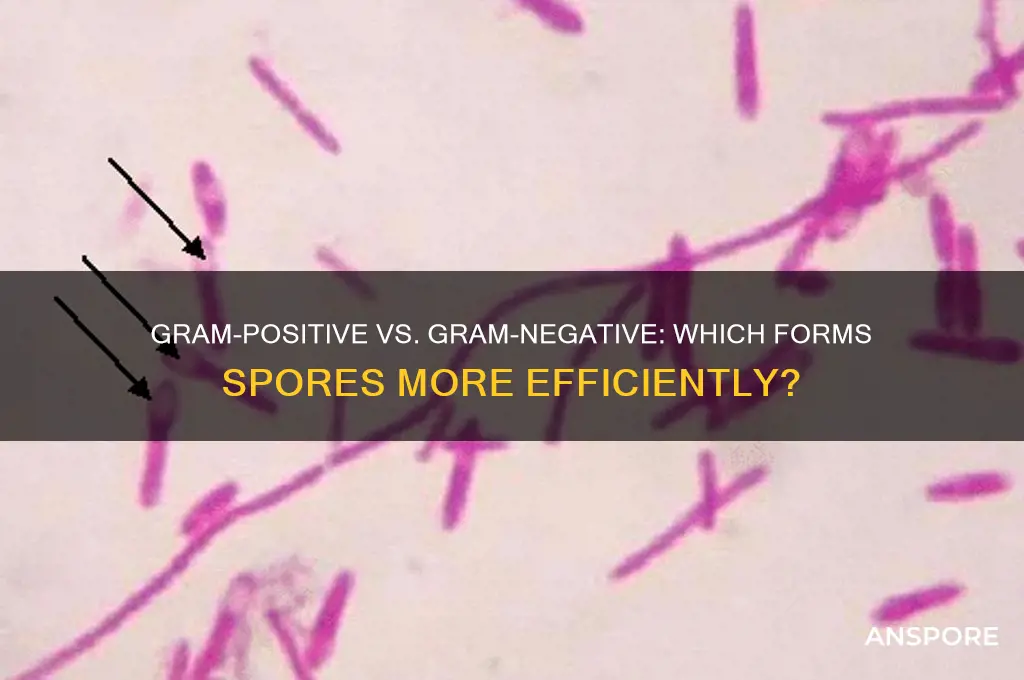 does gram or gram better at forming spores