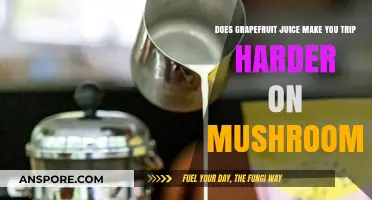 Grapefruit Juice and Mushrooms: Enhancing or Intensifying the Trip?