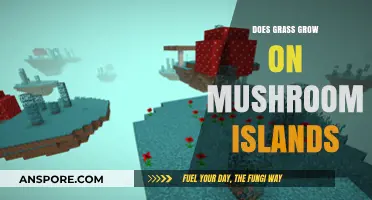 Can Grass Thrive on Mushroom Islands? Exploring Minecraft's Unique Biomes