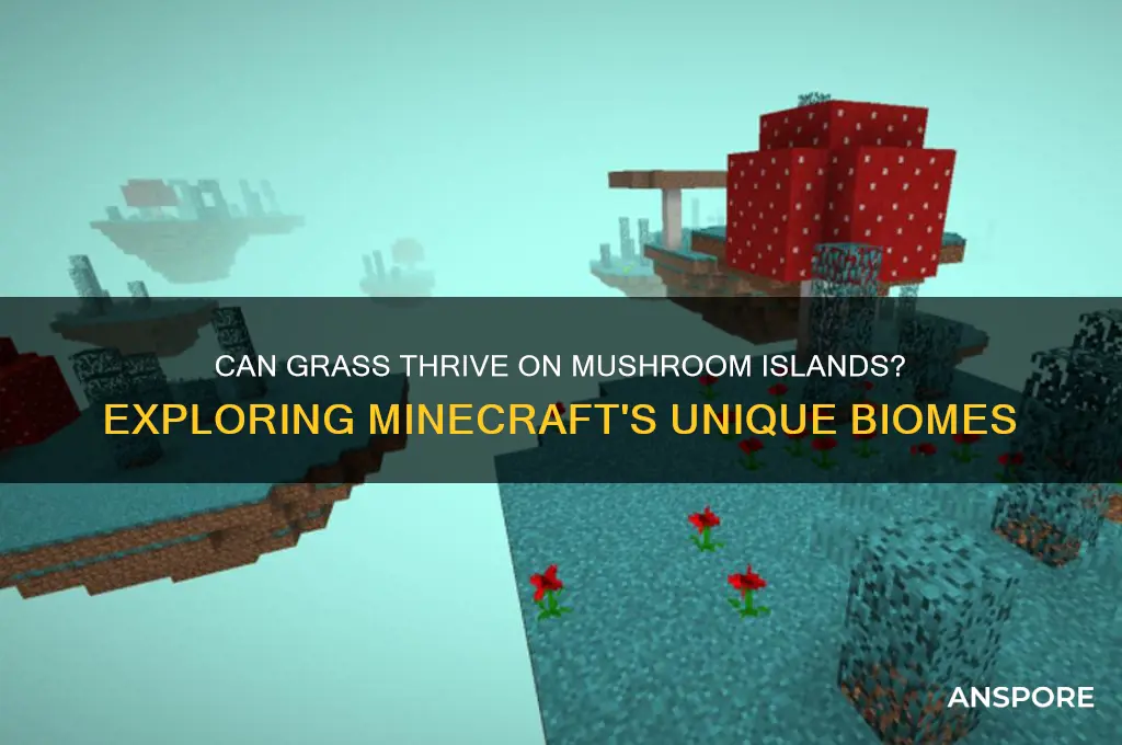 does grass grow on mushroom islands