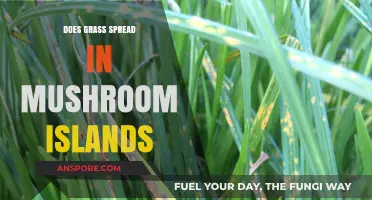 Grass Growth on Mushroom Islands: Is It Possible?