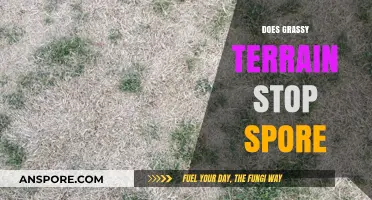 Does Grassy Terrain Halt Spore Spread? Exploring the Myth and Facts