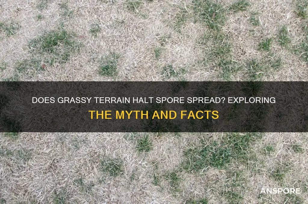does grassy terrain stop spore