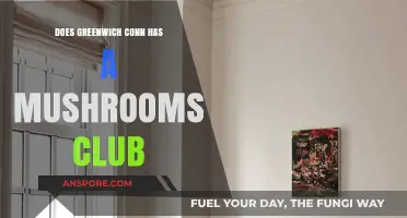 Mushroom Enthusiasts Unite in Greenwich, Connecticut