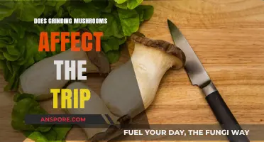 Grinding Mushrooms: Does Texture Affect the Psychedelic Experience?