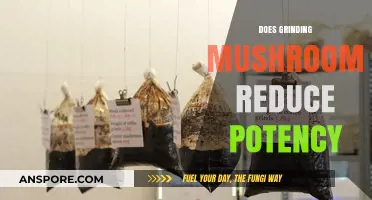 Grinding Mushrooms: Does it Affect Their Potency?