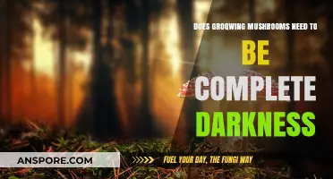 Mushroom Cultivation: Does Darkness Impact Growth?