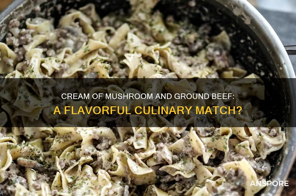 does ground beef good with gream of mushroom