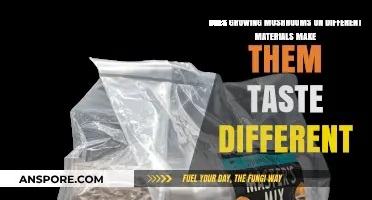 Substrate Secrets: How Growing Materials Influence Mushroom Flavor Profiles