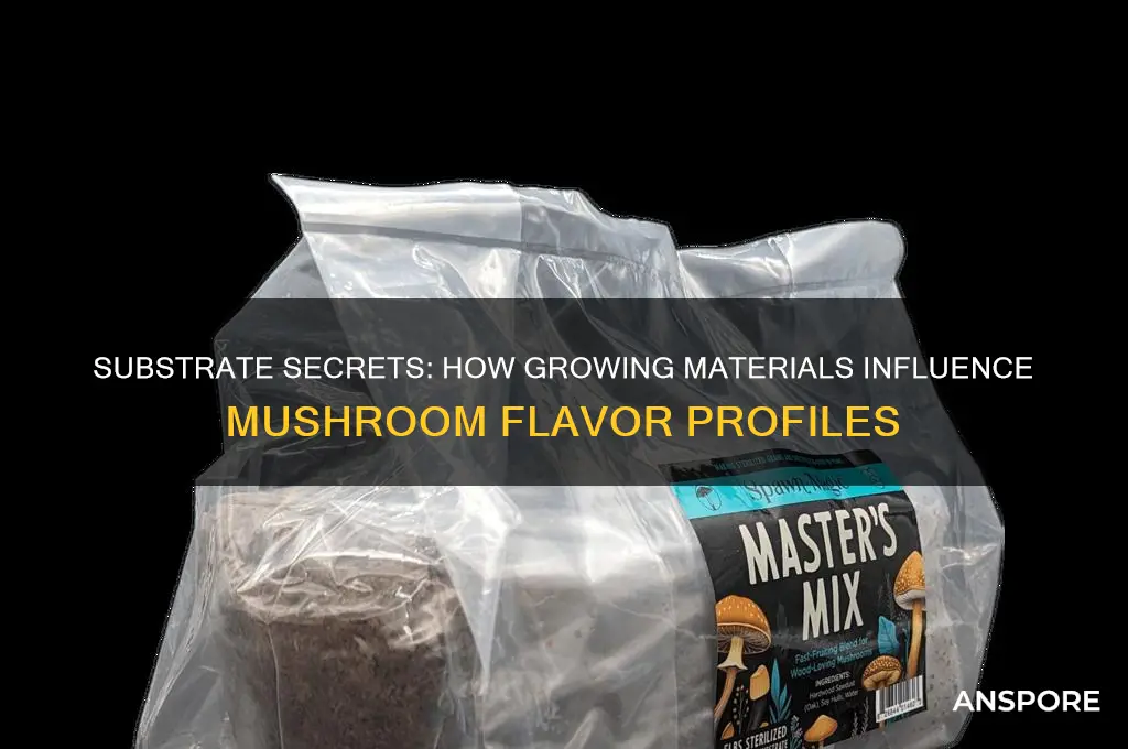 does growing mushrooms on different materials make them taste different