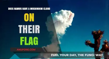 Hamus' Flag: Mushroom Cloud Mystery