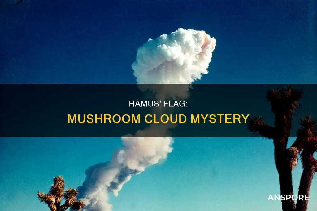 does hamus have a mushroom cloud on their flag