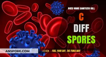 Hand Sanitizer vs. C. Diff Spores: Does It Really Kill Them?