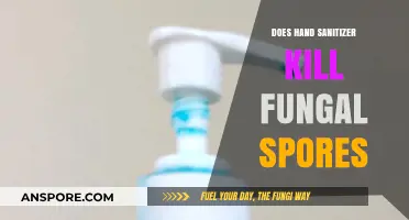 Hand Sanitizer vs. Fungal Spores: Does It Effectively Kill Them?